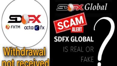 sdfx global is real or fake wikipedia