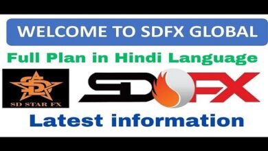 SDFX Global Welfare Foundation