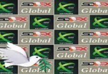 sdfx global foundation