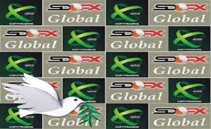 sdfx global foundation