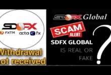 sdfx global review