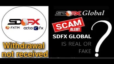 sdfx global review