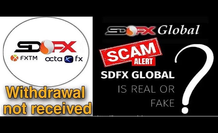 sdfx global review