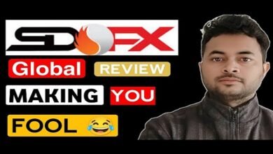 sdfx global services reviews