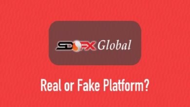 SDFX Global Com