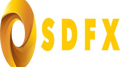 sdfx