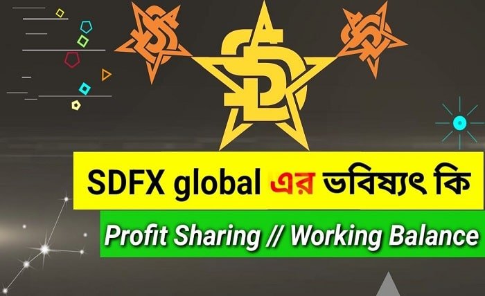 sdfx global in bengali