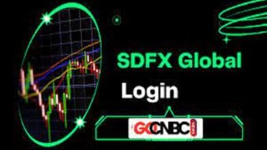 sdfx global services login