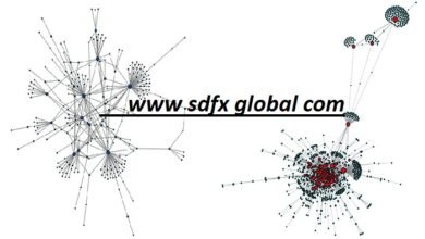 www sdfx global com