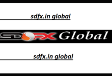 sdfx.in global