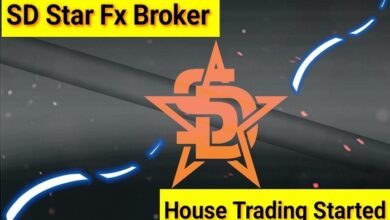 sd star fx broker house