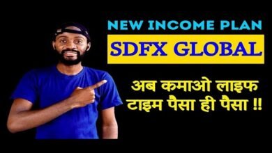 sdfx global business plan pdf