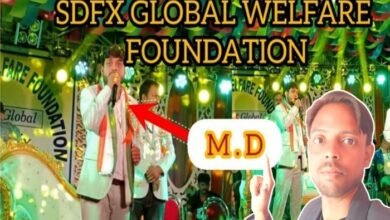 sdfx global foundation